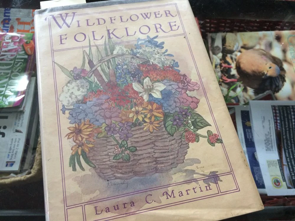 Wildflower Folklore — Gardening Charlotte